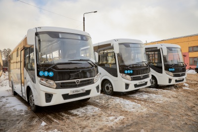 Новые автобусы.jpg